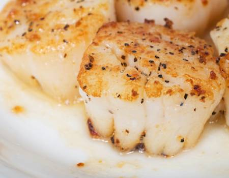 jumbo scallops